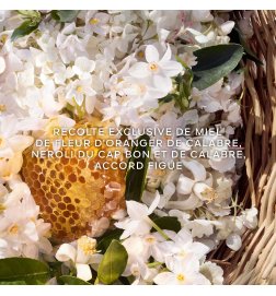 Aqua Allegoria Harvest - Nerolia Vetiver - Eau de Toilette